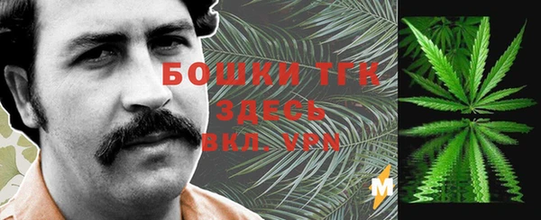 твердый Армянск
