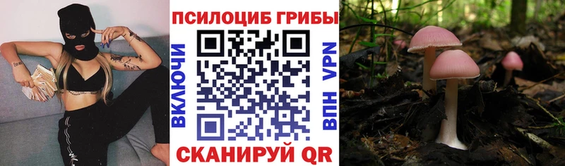Псилоцибиновые грибы прущие грибы Липки