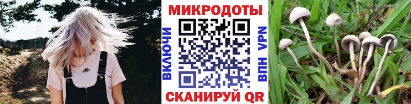 Галлюциногенные грибы Psilocybine cubensis Липки